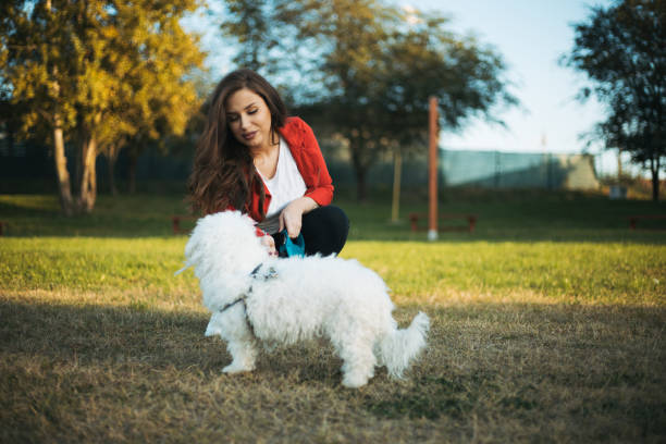 istock woman with dog 1282166902