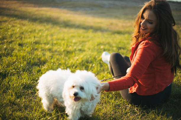 istock woman with dog 1282167248
