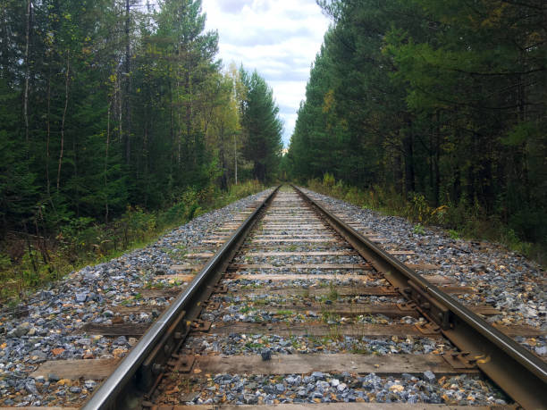 istock Old railroad in the summer forest 1282167760