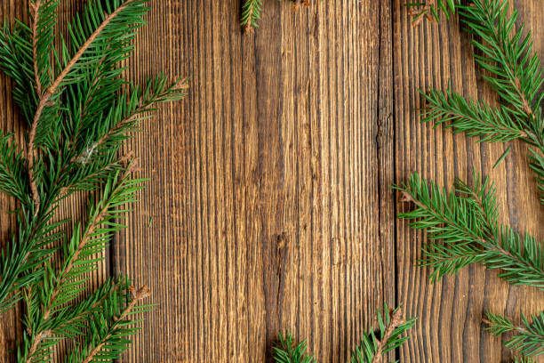 istock Fir, spruce branches on brown wooden background with copy space 1282168479