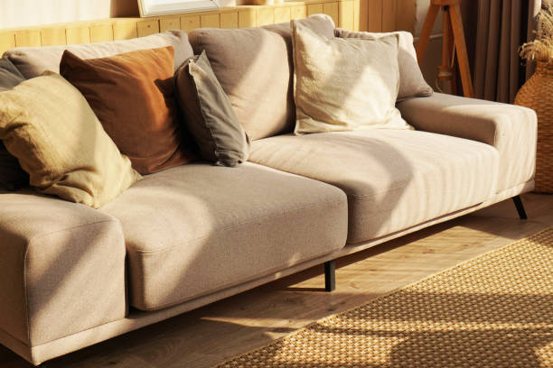 istock Designer sofa in scandinavian home 1282169858