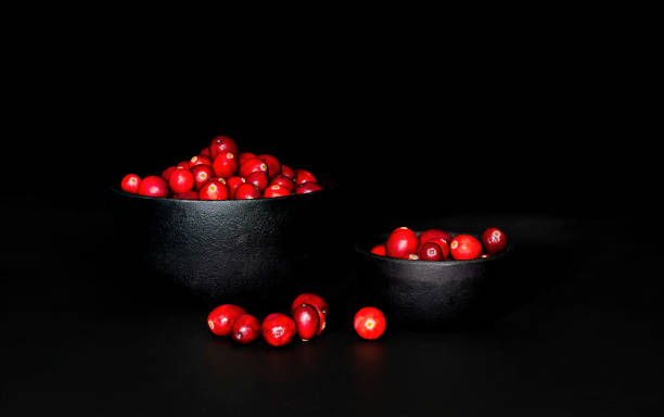 istock Low Key Cranberries in Two Black Bowls 1282173984