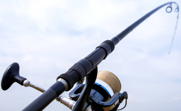 istock fishing rod and reel 1282174344