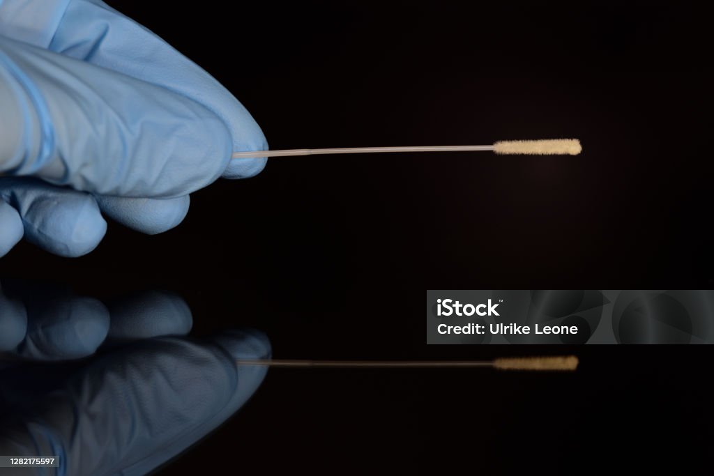 A hand wearing a blue disposable glove holds a swab for a swab in order to carry out a corona test. The background is dark and the hand is reflected. Cotton Swab Stock Photo