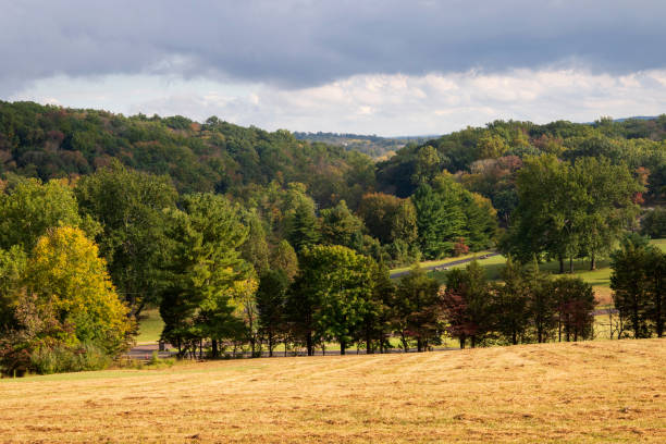 istock Scenic view of Green Lane Park 1282178375