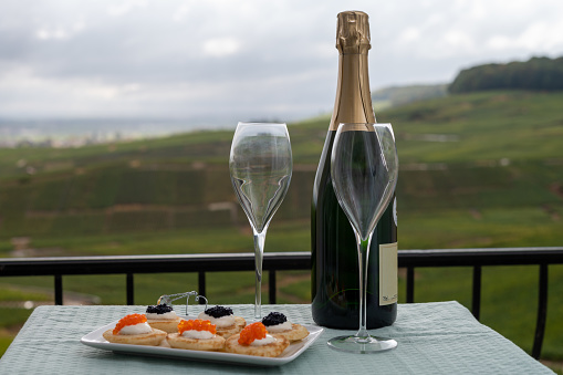 Tasting and pairing of french champagne wine with pancakes, creme fresh, red and black fish caviars and view on green vineyards of Champagne near Epernay on background