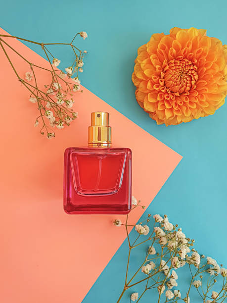 istock bottle perfume flower on a colored background 1282185692