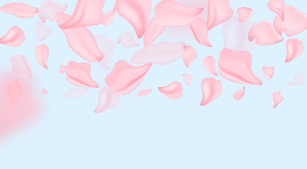 istock Sakura blossom flowers and may floral nature on pink background. For banner, branches of blossoming cherry against background. Dreamy romantic image, landscape, copy space. 1282186251
