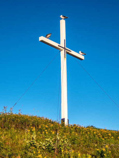 クリスチャン・クロス・オン・ヒル十字架に3羽の鳥が止まった。 - memorial roadside cross cross shape ストックフォトと画像