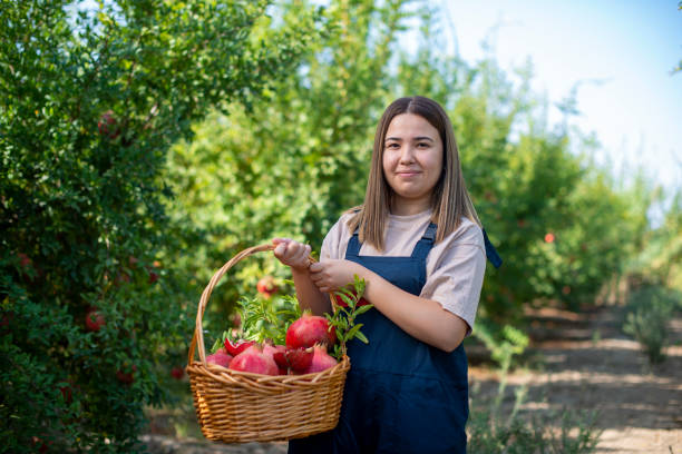 カジクロをバスケットに入れて運ぶ若い女性農家。 - vegies vegetable basket residential structure ストックフォトと画像