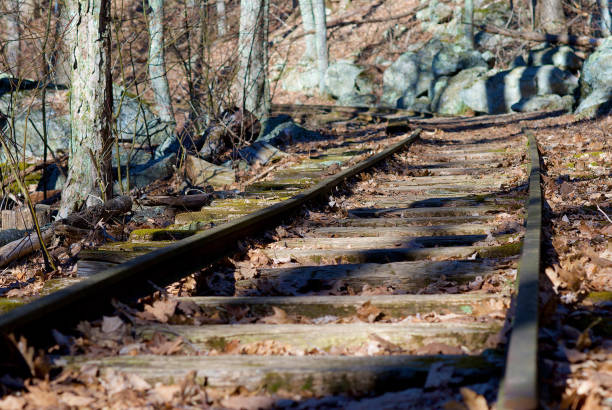 istock Abandoned Railroad Tracks in the Forest 1282191920