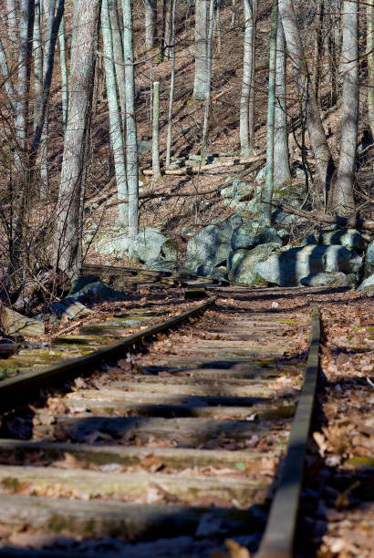 istock Abandoned Railroad Tracks in the Forest 1282191955