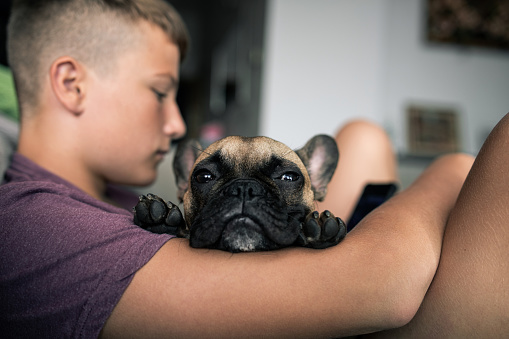 Teenager boy relaxing on a couch together with his pet, cute French bulldog