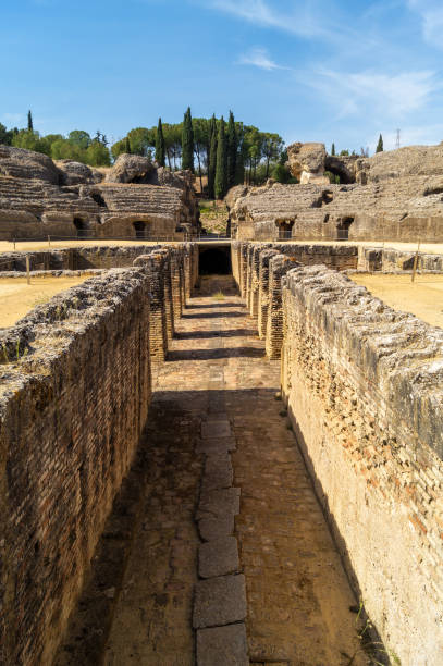 Views of the majestic moat of the amphitheater of the ancient Roman city called Italica (Santiponce, Spain). It is one of the largest and best preserved amphitheatres and was built by Emperor Hadrian. italica spain stock pictures, royalty-free photos & images
