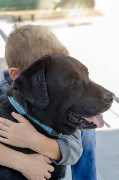 istock Boy hugs black dog in blue collar outside. 1282194231