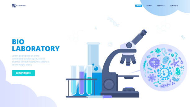 bio laboratorium, badania mikrobiologiczne, koncepcja wektora badań zdrowotnych. płaska ilustracja wektorowa dla strony internetowej, strony docelowej, obrazu bohatera, banera. probówki, mikroskopy oraz różne wirusy i bakterie - petri dish bacterium cell virus stock illustrations