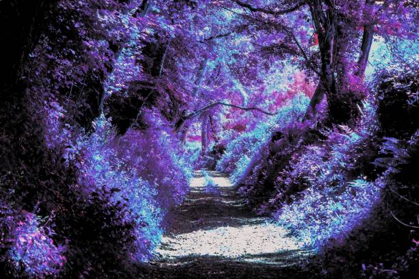 istock An Evening Stroll in Fairyland 1282198268