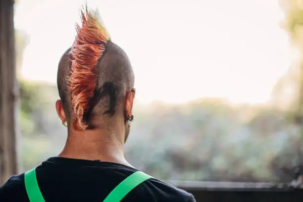 Male punk person with Mohawk hairstyle, rear view
