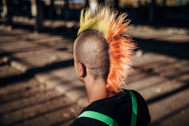 istock Close up of panker colorful coiffure 1282205927