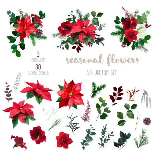 Vector illustration of Merry Christmas floral vector big design set.