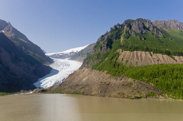 istock The stream from the Bear Glacier flows into Strohn Lake 1282214965