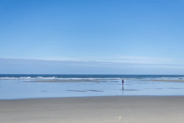 Wide shot of young male surfer running towards the ocean to go surfing. He is wearing a black wetsuit.