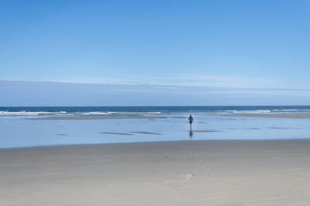 istock Handsome caucasian male surfing in Canada 1282215274