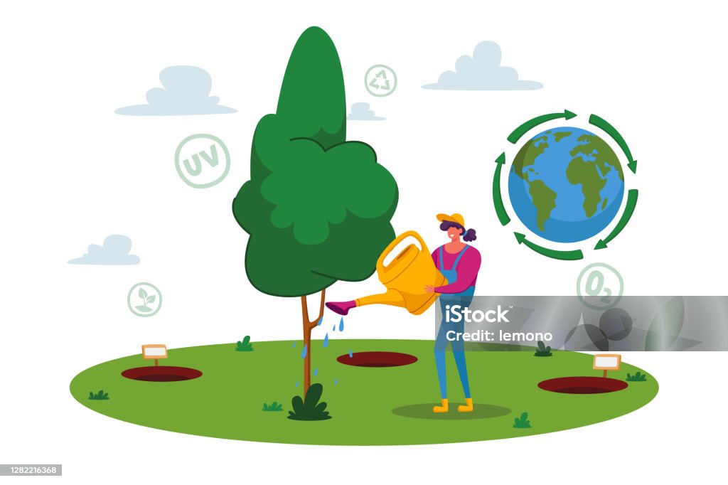 Forest Restoration Reforestation And Planting New Trees Woman Volunteer  Character Care Of Green Plant Save Nature Stock Illustration - Download  Image Now - iStock