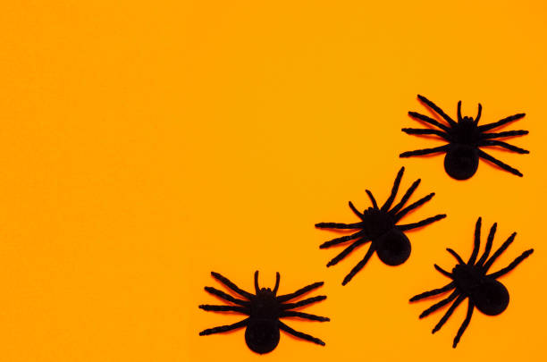 istock Halloween orange background with black spiders with copy space. Flat lay Happy Halloween day background concept. 1282216929