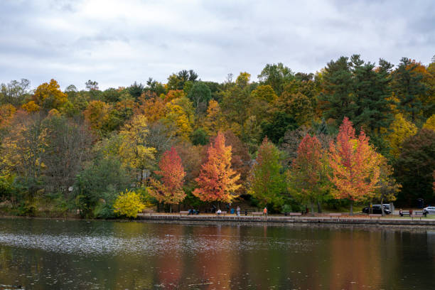 秋の色でニューヨーク州のハドソン川。川岸沿いの鮮やかな色鮮やかな木々。 - november tranquil scene autumn leaf ストックフォトと画像