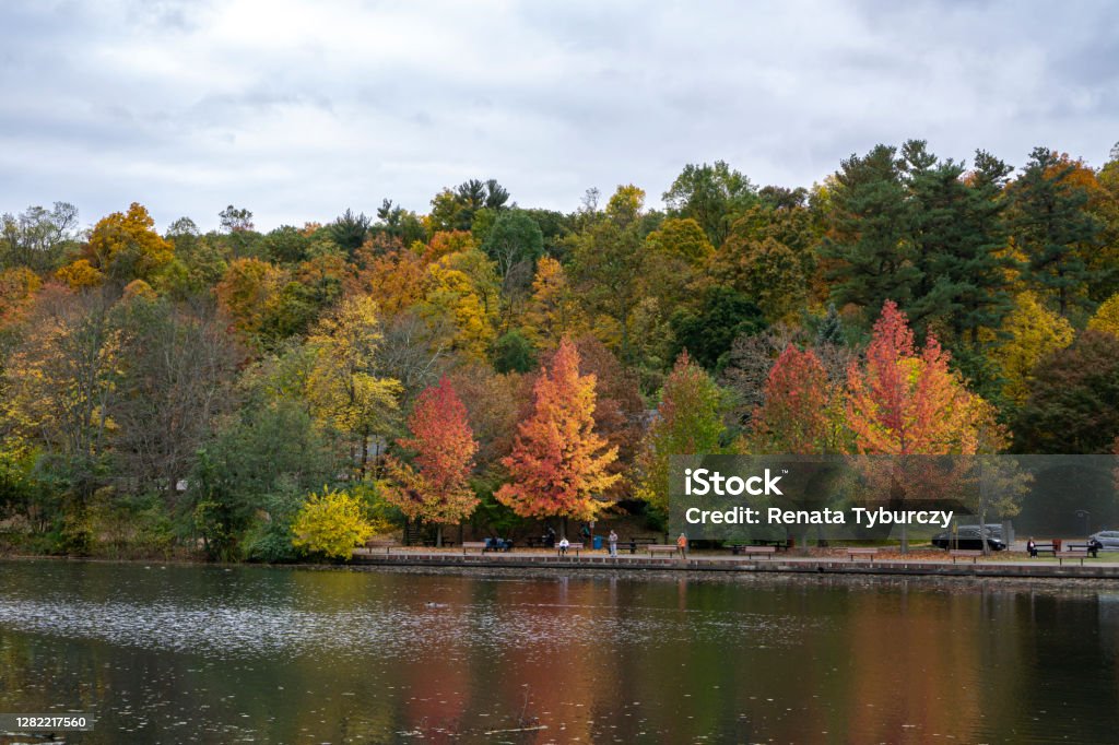 Hudson River in upstate New York in autumn colors. Vibrant colorful trees along the riverbank. Hudson River in upstate New York in autumn colors. Vibrant colorful trees along the riverbank Autumn Stock Photo