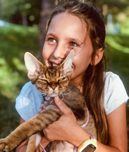 istock Little Girl holding her male Devon Rex pet cat 1282220735