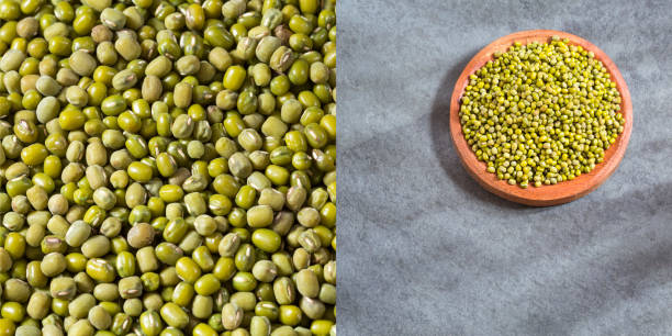 istock Organic mung beans - Vigna radiata 1282220855