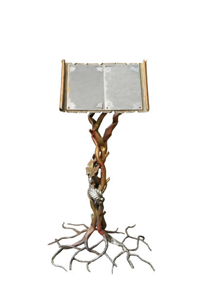 belo suporte de ferro decorativo para livros na forma de tronco de árvore e raiz - plant root system - fotografias e filmes do acervo