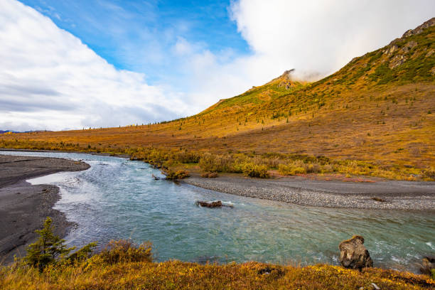 Denali national park Savage river Canyon trail view at fall