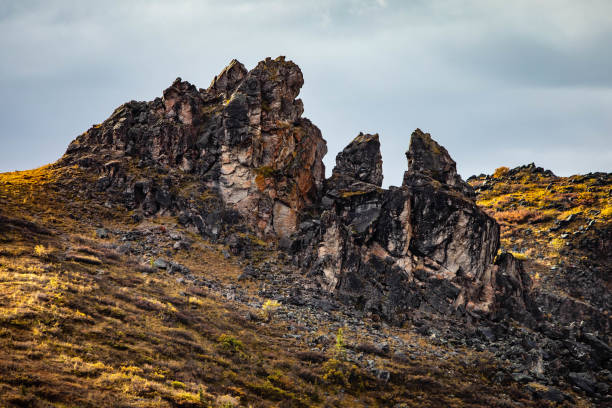 istock Denali national park view from Savage river Canyon trail 1282229027