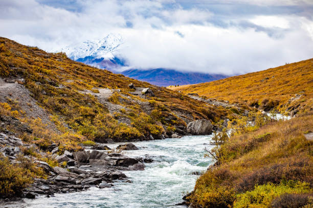istock Denali national park Savage river Canyon trail view 1282229036