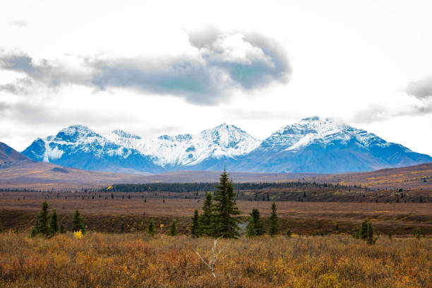 istock Denali National Park mountains view from Alpine trail at fall 1282229042