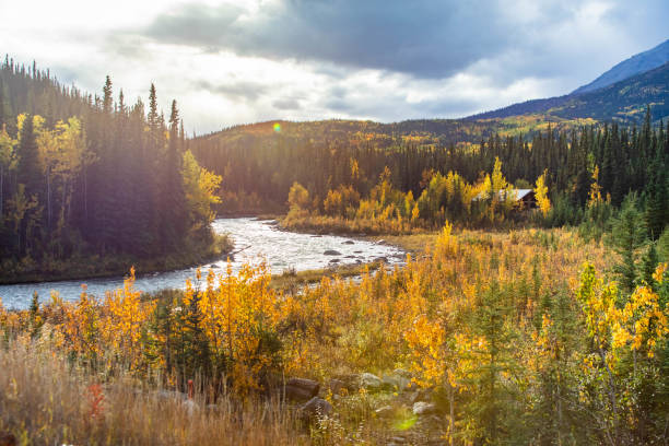 istock Scenic view of Savage river in Denali national park at fall 1282229054