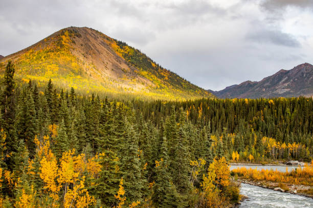istock Scenic view of Savage river in Denali national park at fall 1282229074