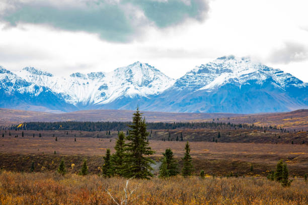 istock Denali National Park mountains view from Alpine trail at fall 1282229093