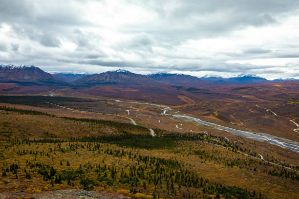 istock Denali national park Savage Canyon trail view in Alaska 1282229122