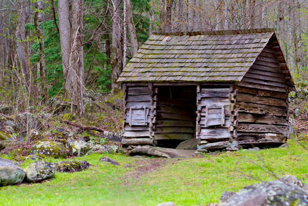 Noah “Bud” Ogle Homestead, Great Smoky Mountains National Park Gatlinburg, Tennessee - April 19, 2014: This weathered outbuilding is part of the historic Noah “Bud” Ogle homestead located within the Great Smoky Mountains National Park and is available for tourist to visit. roughhewn stock pictures, royalty-free photos & images