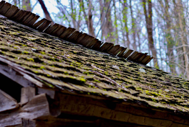 plan rapproché, bardeaux de toit en bois avec mousse - roof gatlinburg mountain wood photos et images de collection