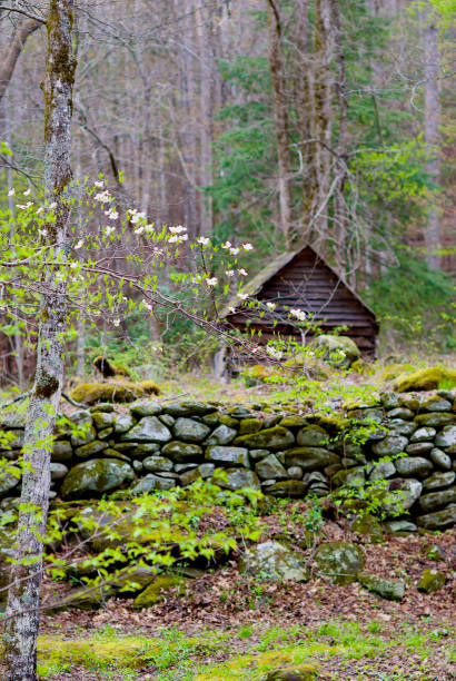 vieux mur de pierre et bâtiment en bois, parc national des great smoky mountains - roof gatlinburg mountain wood photos et images de collection