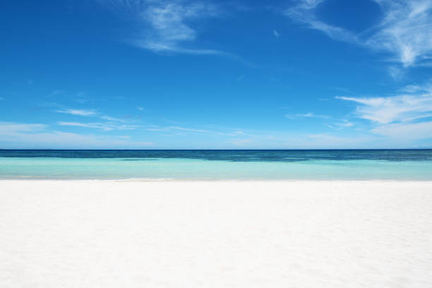 istock Perfect white sand beach and turquoise tropical ocean with clear sky 1282235332