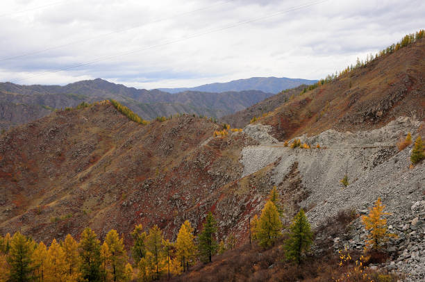 Sheer cliffs with crumbling edges and tall pines and foliage yellowed from autumn. Sheer cliffs with crumbling edges and tall pines and foliage yellowed from autumn. Altai, Siberia, Russia. yellowed edges stock pictures, royalty-free photos & images