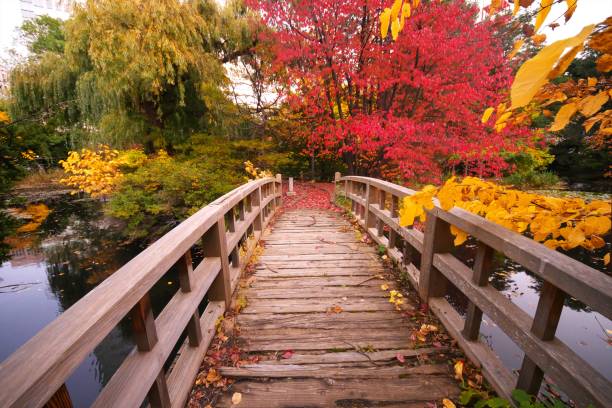 istock Late autumn reflection garden 1282238823