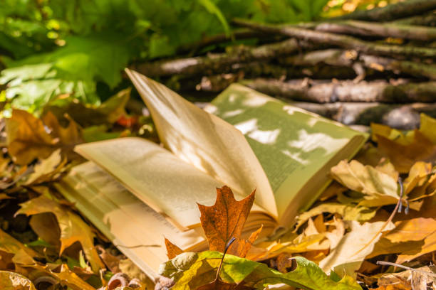istock The old book lies on yellow fallen leaves. 1282252925