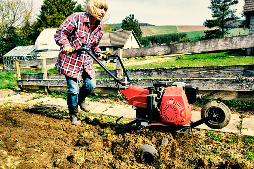 Woman using a garden rotovator in her vegetable garden.